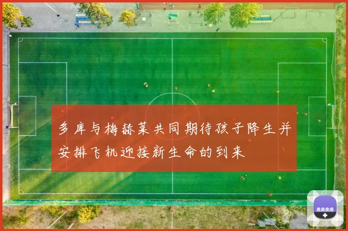 多库与梅赫莱共同期待孩子降生并安排飞机迎接新生命的到来