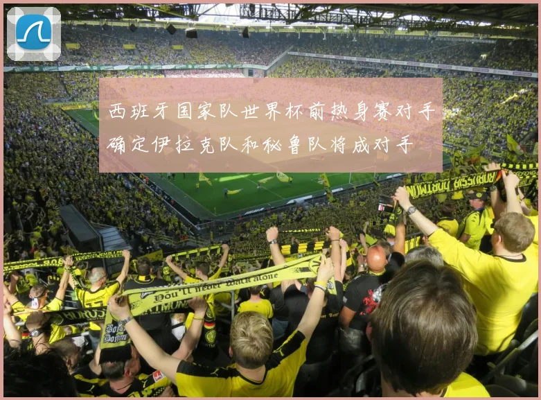 西班牙国家队世界杯前热身赛对手确定伊拉克队和秘鲁队将成对手