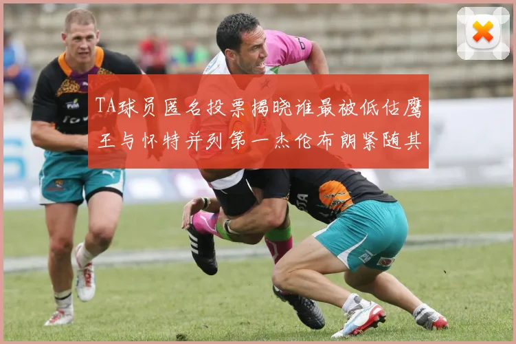 TA球员匿名投票揭晓谁最被低估鹰王与怀特并列第一杰伦布朗紧随其后